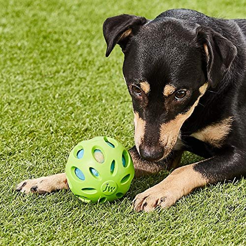 JW Crackle Heads Crunchy Noise Dog Toy – Large, Durable Fetch Ball - Image 2