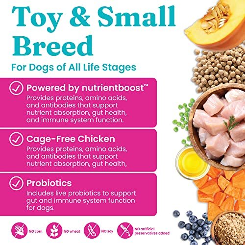 Solid Gold Mighty Mini Small Breed Dog Food - Chicken, Grain-Free, 3.75 LB - Image 5
