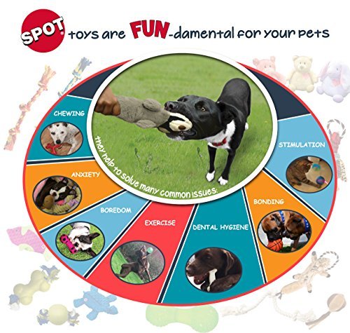SPOT Sensory Dog Ball for Soft Chewers - Squeaky, Textured, Beef-Scented - Image 9