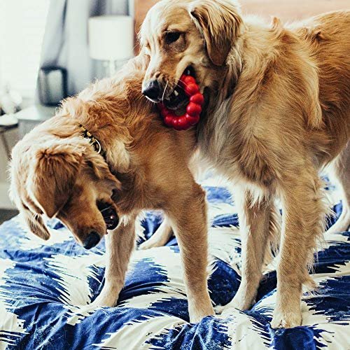 KONG Ring Dog Chew Toy - Durable Natural Rubber for Dental Health - Image 2