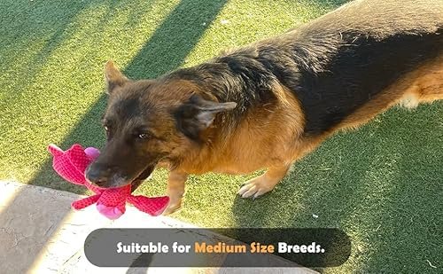 Jalousie Tough Squeaky Dog Toys - 5 Pack for Aggressive Chewers - Image 9