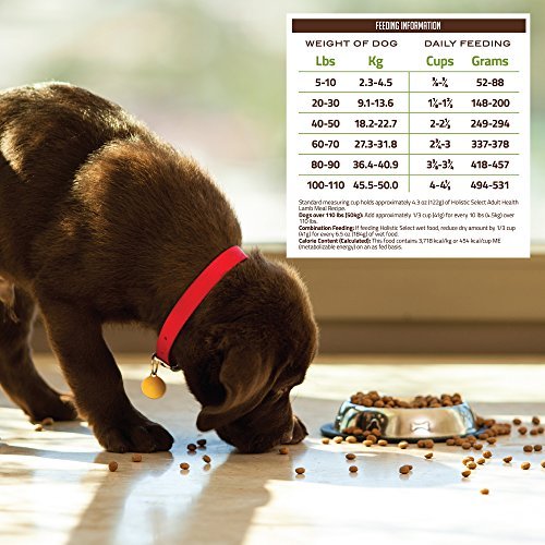 Holistic Select Lamb Meal Dry Dog Food, Natural Nutrition, 30 lb Bag - Image 8