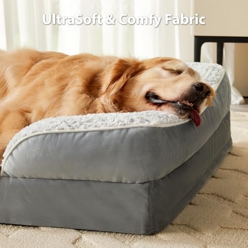 LEXTRO Orthopedic Medium Dog Bed - Cozy Foam Sofa with Washable Cover - Image 2