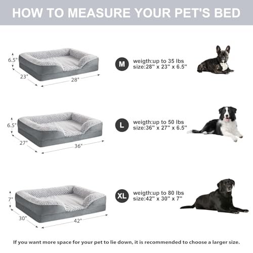 LEXTRO Orthopedic Medium Dog Bed - Cozy Foam Sofa with Washable Cover - Image 4