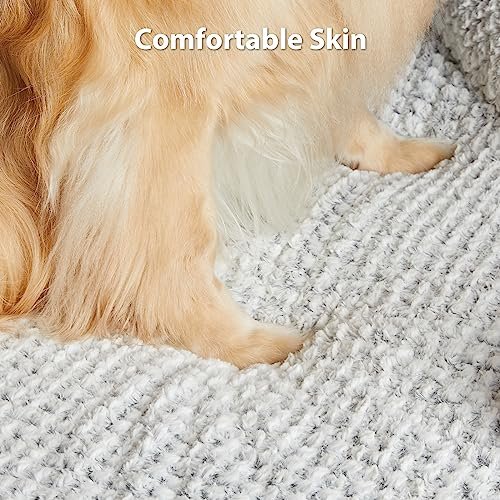 LEXTRO Orthopedic Medium Dog Bed - Cozy Foam Sofa with Washable Cover - Image 6