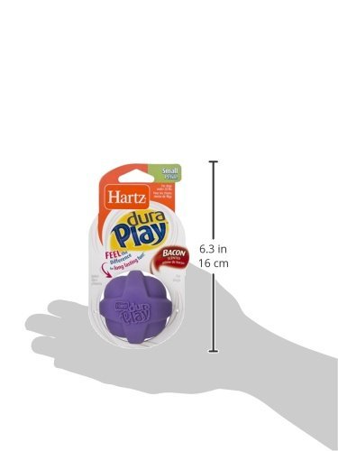 Hartz DuraPlay Small Dog Toys – Bacon Scented, Durable & Bouncy - Image 10
