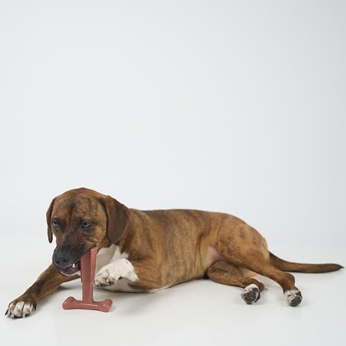 Durable Beef-Flavored Dog Chew Toy for Aggressive Chewers, 6" - Image 8