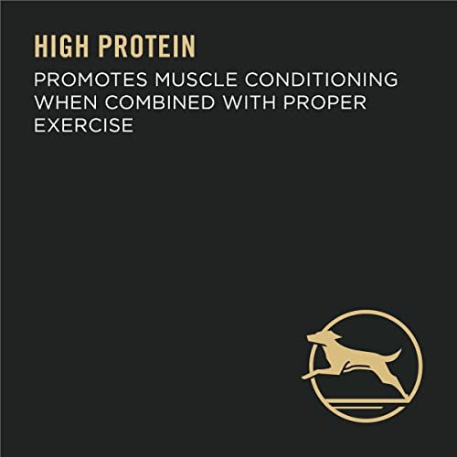 Purina Pro Plan Large Breed Chicken & Rice High Protein Dog Food, 47 lb - Image 7