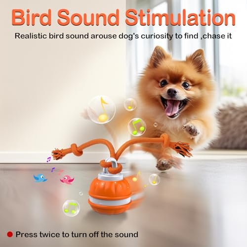 Salodal Interactive Dog Ball - Motion Activated, USB Rechargeable Toy - Image 4