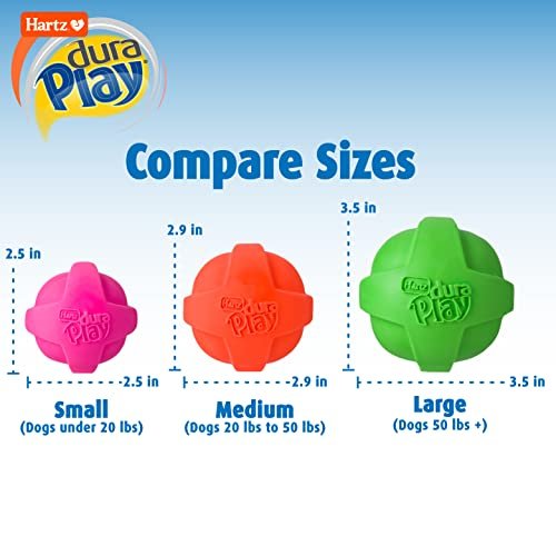 Hartz DuraPlay Small Dog Toys – Bacon Scented, Durable & Bouncy - Image 3