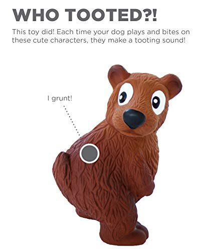 Outward Hound Tootiez Bear Grunting Rubber Dog Toy, Small & Durable - Image 2