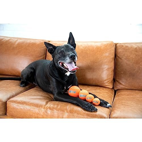 Outward Hound Medium Squeaker Ballz Dog Toys 4-Pack – Bouncy & Durable - Image 7
