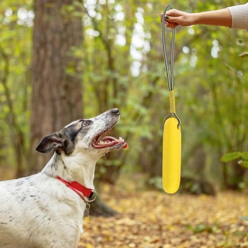 PUPTECK Floating Dog Pool Toys – 2-Pack Interactive Fetch Bumpers - Image 7