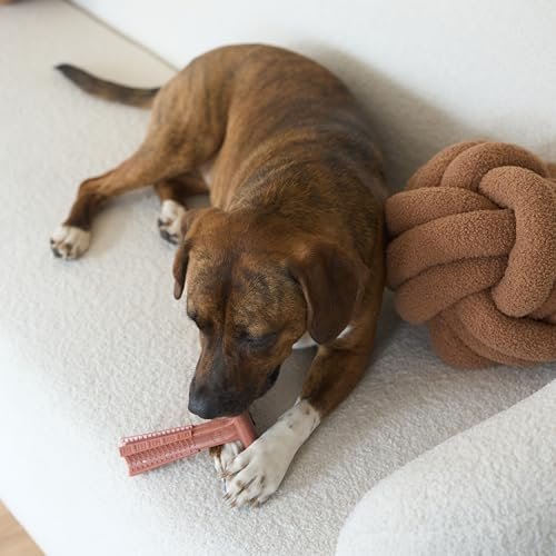 Durable Beef-Flavored Dog Chew Toy for Aggressive Chewers, 6" - Image 10