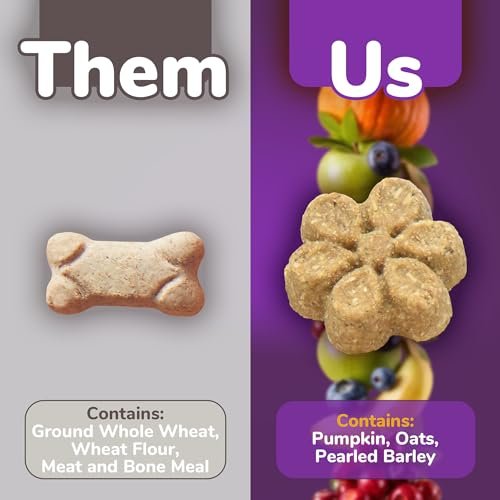 Fruitables Pumpkin & Blueberry Dog Treats – Crunchy, Healthy & Tasty - Image 4