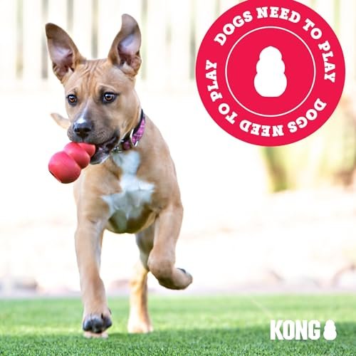 KONG Extreme Tire Dog Toy – Tough Rubber, Treat Dispensing, Large Breed - Image 7