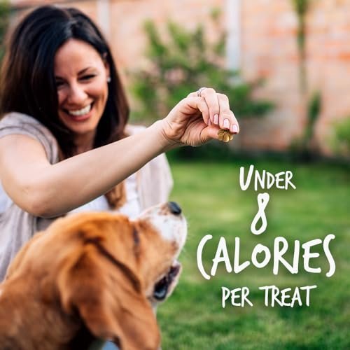 Fruitables Pumpkin & Blueberry Dog Treats – Crunchy, Healthy & Tasty - Image 6