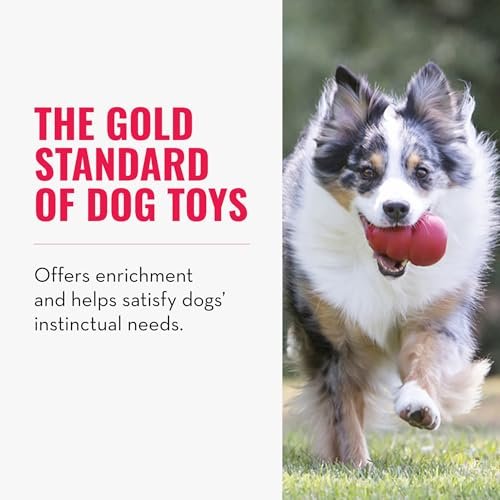 KONG Classic Dog Toy – Durable, Treat-Dispensing Chew & Fetch Toy - Image 4