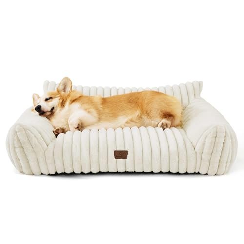 Bedsure Cute Pet Couch - Fluffy Dog Sofa, Dog Couch Bed with Removable, Washable Cover, Supportive for Medium Large Dogs, 36inch, Cream