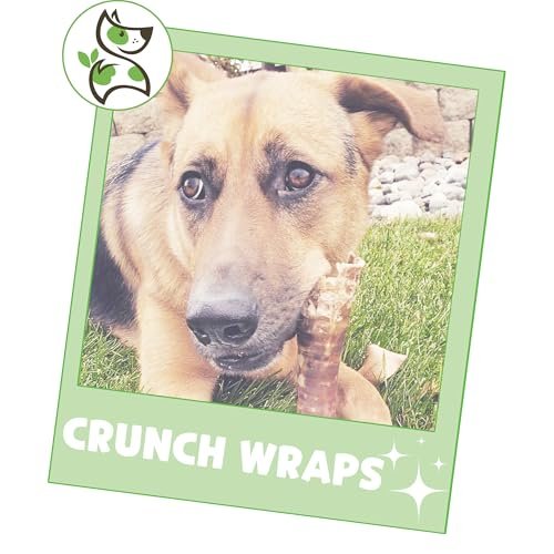 Nature Gnaws Beef Trachea Chews for Dogs - Long-Lasting Rawhide-Free Treats - Image 6