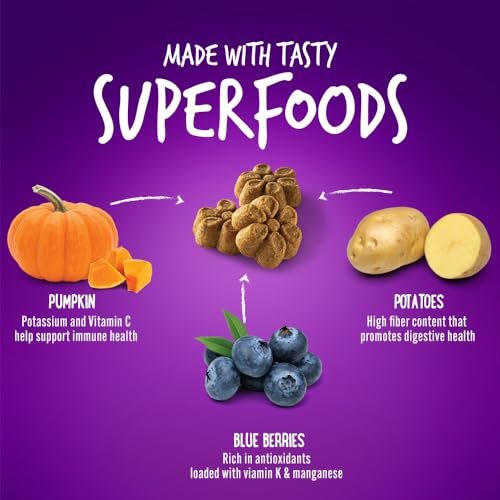 Fruitables Pumpkin & Blueberry Dog Treats – Crunchy, Healthy & Tasty - Image 5