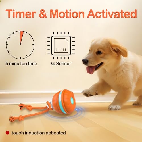 Salodal Interactive Dog Ball - Motion Activated, USB Rechargeable Toy - Image 3