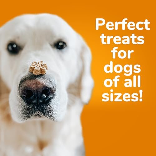 Fruitables Pumpkin & Blueberry Dog Treats – Crunchy, Healthy & Tasty - Image 3