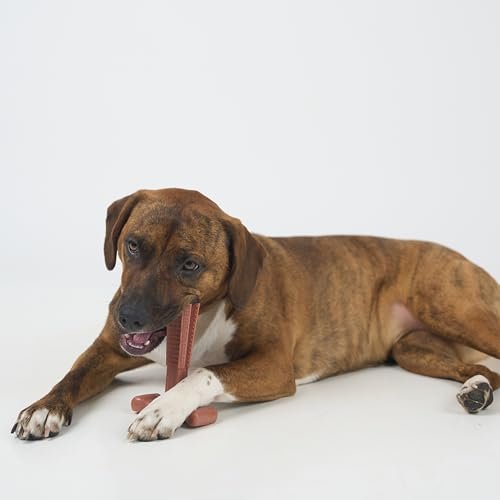 Durable Beef-Flavored Dog Chew Toy for Aggressive Chewers, 6" - Image 11