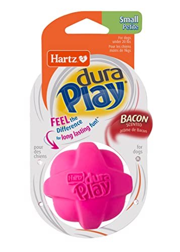 Hartz DuraPlay Small Dog Toys – Bacon Scented, Durable & Bouncy - Image 8