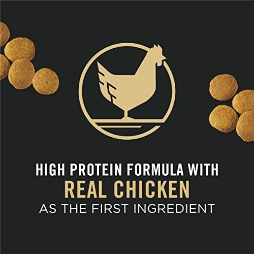 Purina Pro Plan Large Breed Chicken & Rice High Protein Dog Food, 47 lb - Image 2