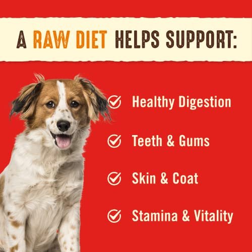 Stella & Chewy's Freeze-Dried Raw Beef Patties – Grain-Free Dog Food - Image 3
