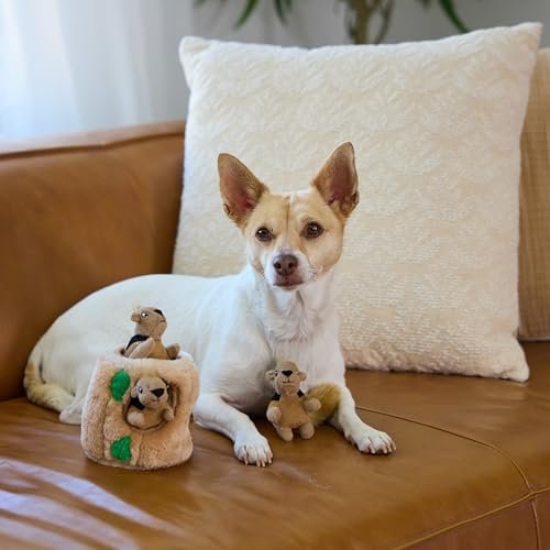 Outward Hound Squeakin' Squirrels Dog Toy Replacements - 3 Pack - Image 5