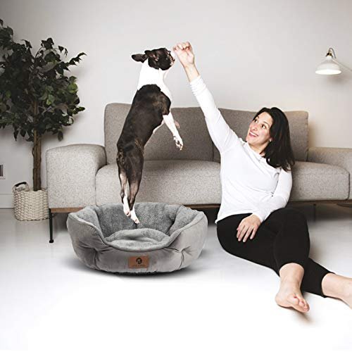 Cozy Small Dog Bed & Cat Bed – Soft, Washable, Non-Slip, 20” Grey - Image 6