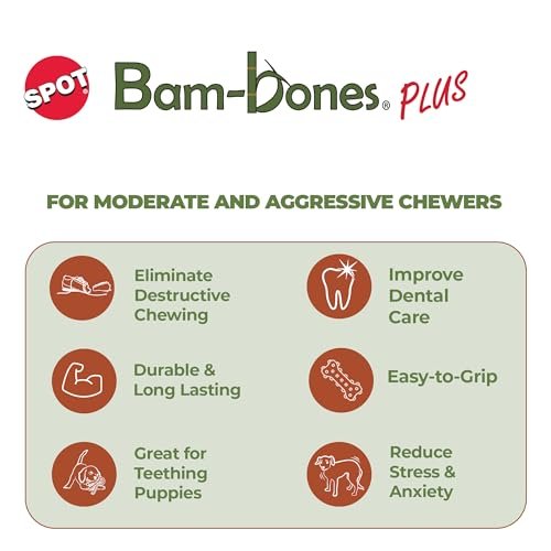 Durable Beef-Flavored Dog Chew Toy for Aggressive Chewers, 6" - Image 3