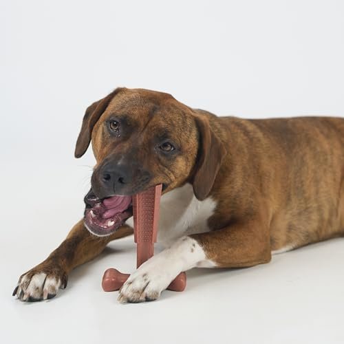 Durable Beef-Flavored Dog Chew Toy for Aggressive Chewers, 6" - Image 9