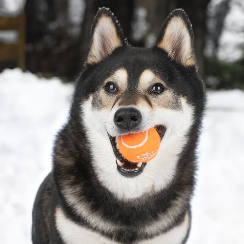 Durable Squeaky Tennis Balls for Dogs - 4-Pack Interactive Fetch Toys - Image 7