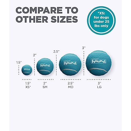 Outward Hound Medium Squeaker Ballz Dog Toys 4-Pack – Bouncy & Durable - Image 5