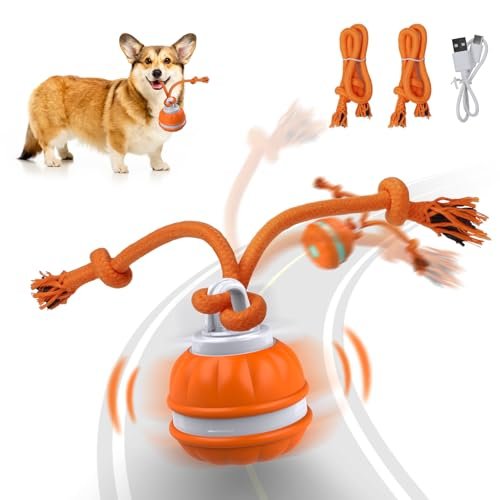 Salodal Peppy Pet Ball for Dogs, Dog Interactive Toys Dog Ball,Motion Activate Rolling Ball for Puppy/Small Dogs, Automatic Moving Dog Toy,USB Rechargeable (Dog Ball)