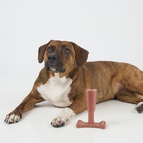 Durable Beef-Flavored Dog Chew Toy for Aggressive Chewers, 6" - Image 12