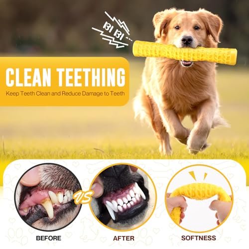 LOYEE Tough Squeaky Dog Toy for Aggressive Chewers, Durable & Fun - Image 4