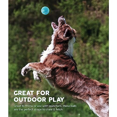 Outward Hound Medium Squeaker Ballz Dog Toys 4-Pack – Bouncy & Durable - Image 4
