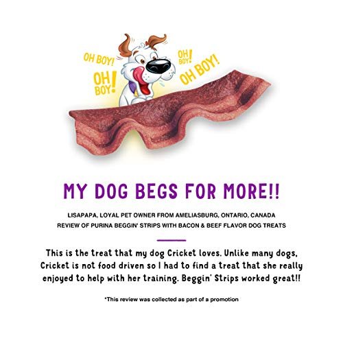 Purina Beggin' Strips Bacon & Beef Dog Treats, Real Meat, 26 oz (2 Pack) - Image 7