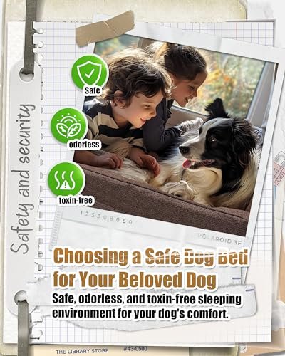 Indestructible XL Chew Proof Dog Bed – Waterproof, Orthopedic & Durable - Image 2