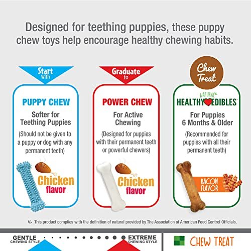 Nylabone Puppy Chew Toy & Treat Pack – Teething Relief & Flavor Fun - Image 5
