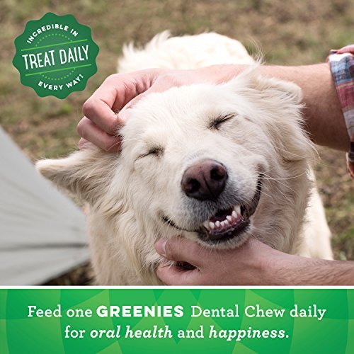 Greenies Large Dog Dental Treats, Natural & Original, 54 oz, 34 Count - Image 8