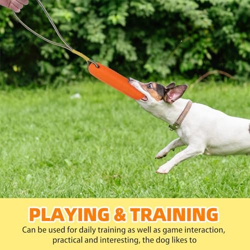 PUPTECK Floating Dog Pool Toys – 2-Pack Interactive Fetch Bumpers - Image 5
