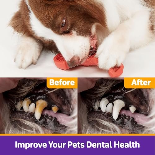 Kimee Indestructible Dog Chew Toys, 3-Pack for Aggressive Chewers - Image 4