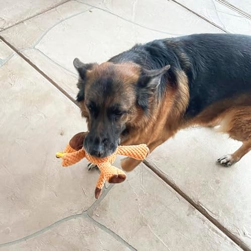 Jalousie Tough Squeaky Dog Toys - 5 Pack for Aggressive Chewers - Image 5