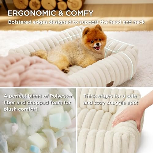 Cozy Orthopedic Dog Bed for Small & Medium Dogs - Washable, Soft, Cream - Image 2
