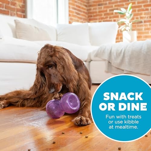 Outward Hound Planet Dog Double Snoop Interactive Treat Dispensing Toy - Image 5